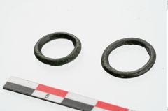 Foto von Bronzering (NHMW-PRAE-024095)